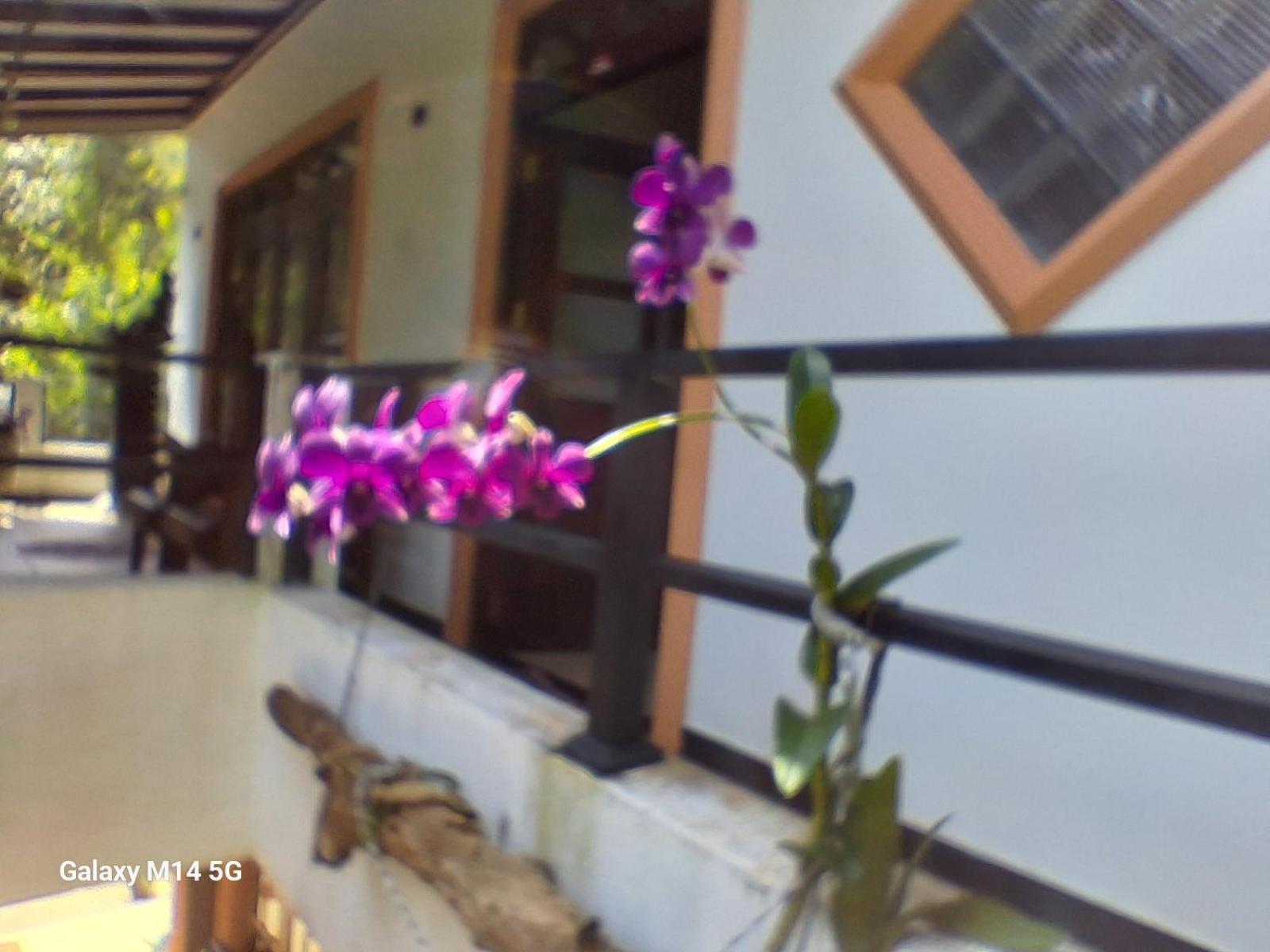 Rock Side Inn Unawatuna Dış mekan fotoğraf